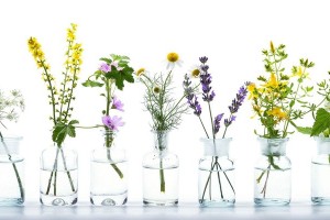 Giải pháp trị rạn da khi sau sinh từ Beautanicae Crème Onctueuse Vergetures