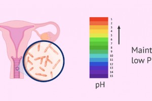 6+ mẹo giữ pH âm đạo cân bằng từ chia sẻ của chuyên gia