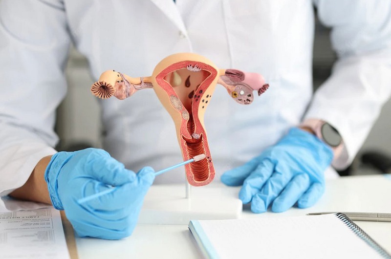 co-che-hoat-dong-cua-vien-dat-am-dao-3