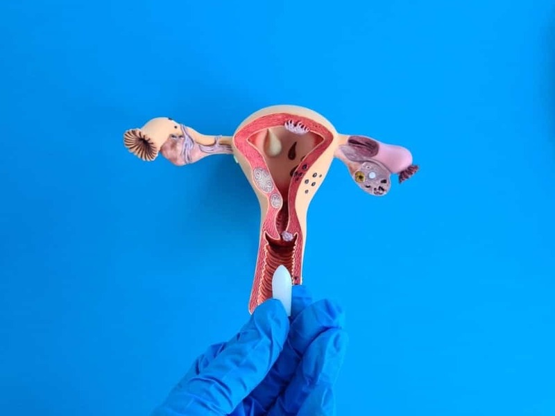 co-che-hoat-dong-cua-vien-dat-am-dao-4