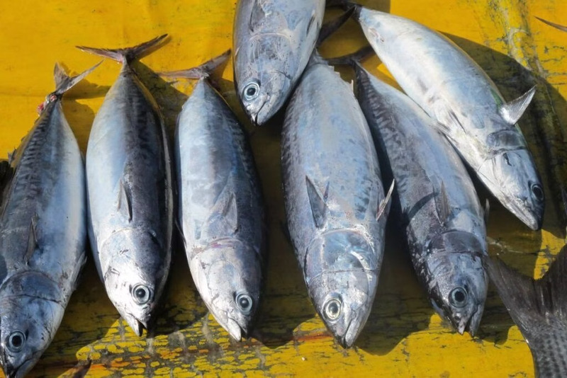 thuc-pham-giau-vitamin-b6-4