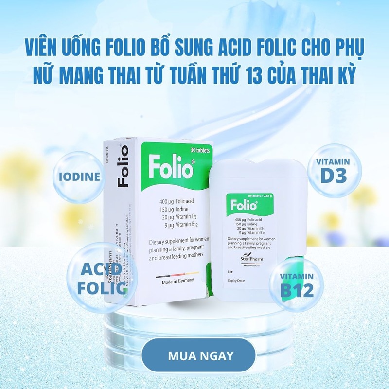 vien-bo-bau-folio-dung-co-tot-khong-2