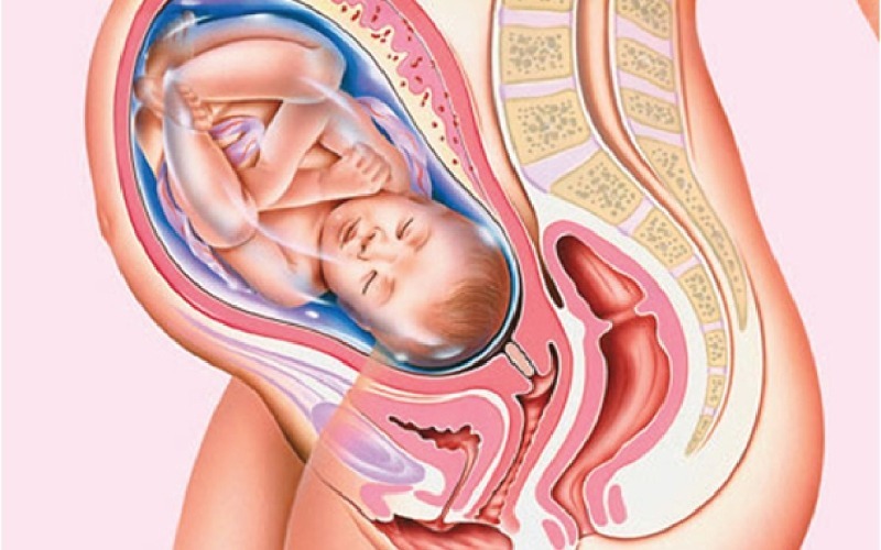 vien-chong-nghen-co-anh-huong-thai-nhi-khong-3